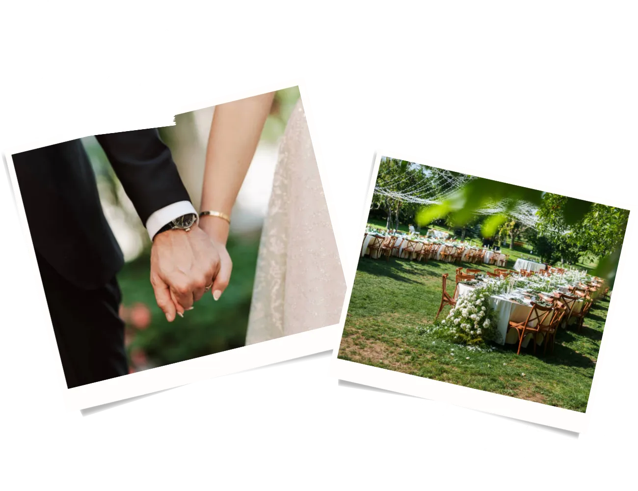 Complete Wedding Planning Solutions Offered