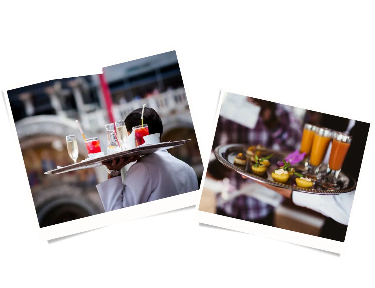 Professional Catering Services Delivered Perfectly