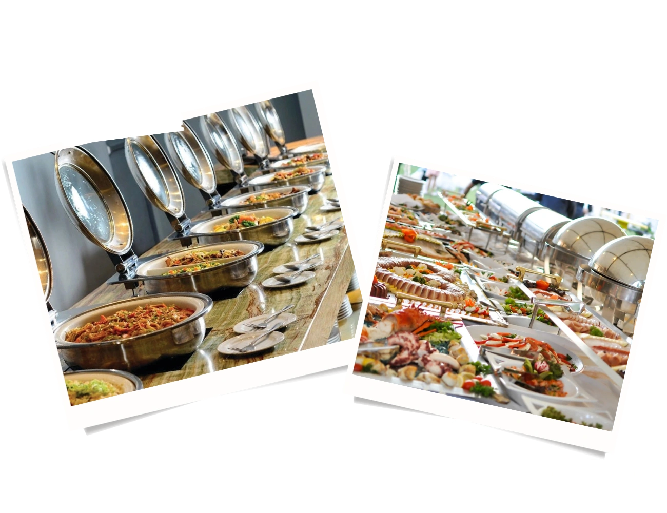 Professional Catering Services Delivered Perfectly